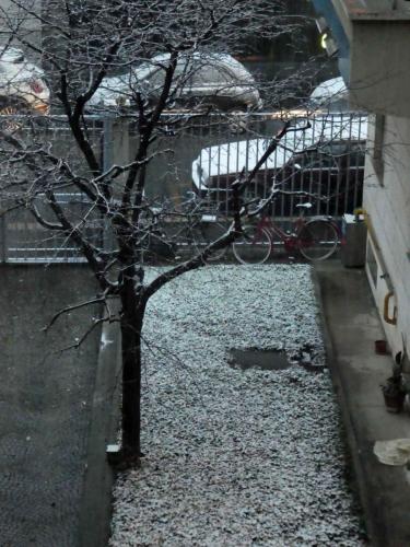 And we knew we were in for a cold night