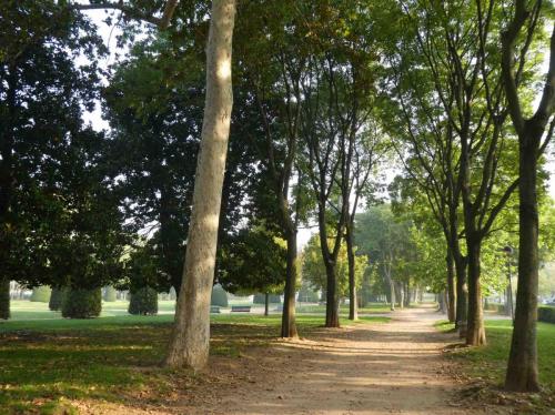An early morning stroll near Mantova's lakes