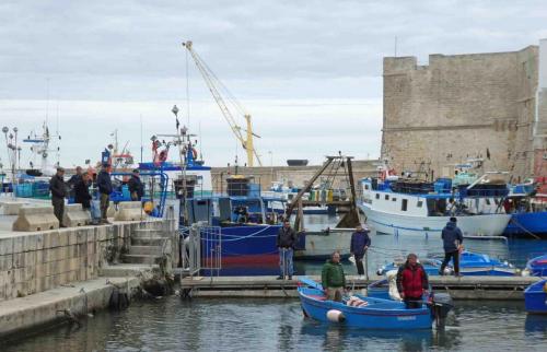 Whether the fleet is heading out in the morning or returning with the catch in the evening...