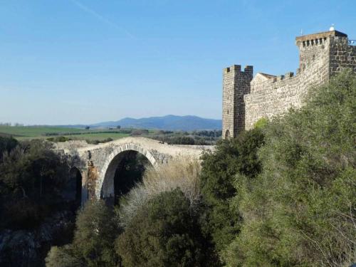 Nearby the bridge, Ponte dell'Abbadia, was rebuilt by the Romans on top of the original Etruscan buttresses 