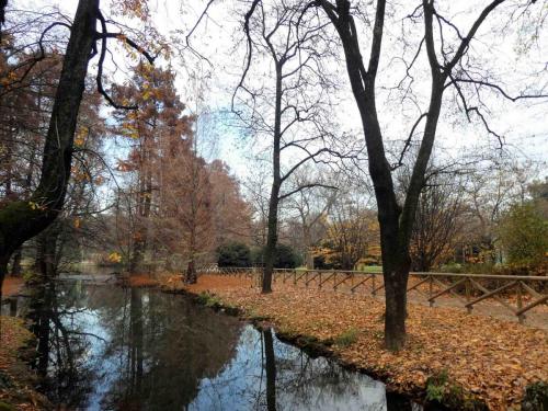 Beautiful on any day