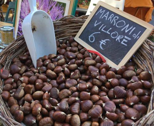 Autumn is chestnut season
