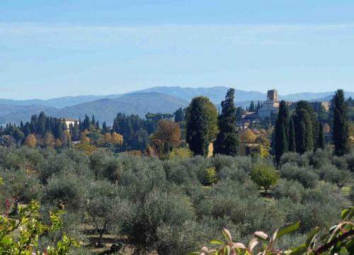 Closer to home, in the hills of Florence