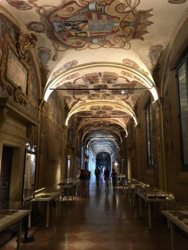 Corridor to the library