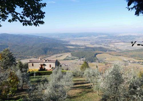 Countryside around Montalcino