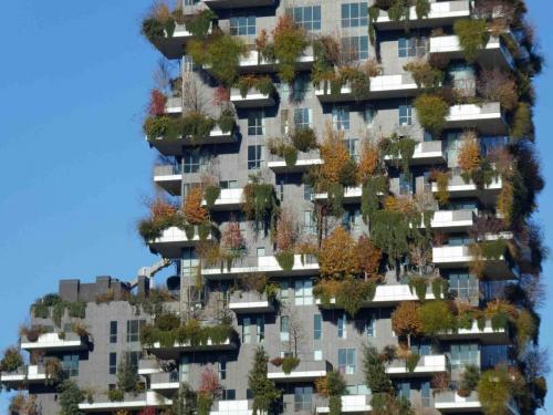 There are more than 900 plants on the terraces of the two Bosco Verticale (Vertical Forest) towers 