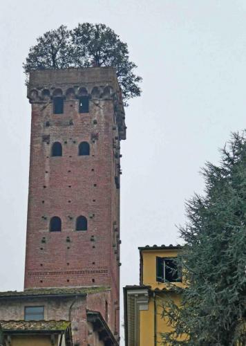 Torre Guinigi, a defensive tower built in the 1300s, is one of several still standing and the only one with a roof garden