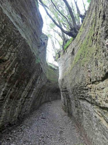 Le Vie Cave ('cave roads') were sunken pathways carved out of the Maremma tufa rock by the Etruscans (200-800 BC) 