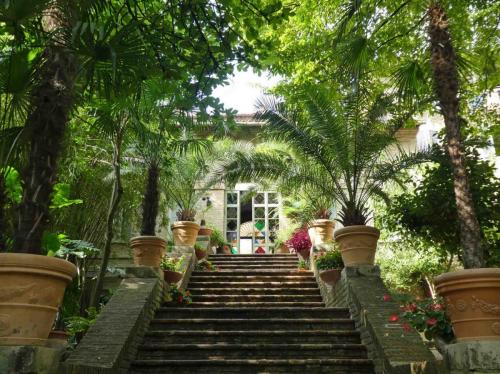 Oasis behind a doorway (Urbino University's research garden)