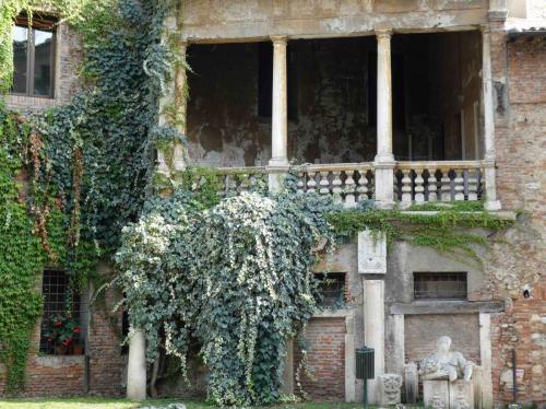 Another shot from the garden