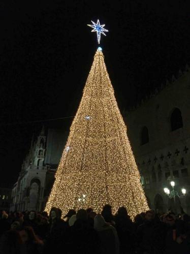 The city's Christmas Tree in Piazza San Marco