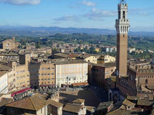 Piazza del Campo (where the famous horse race is held)