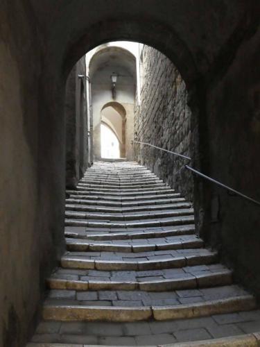 The local Christians sheltered and protected the newcomers