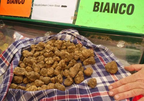 The precious white truffles