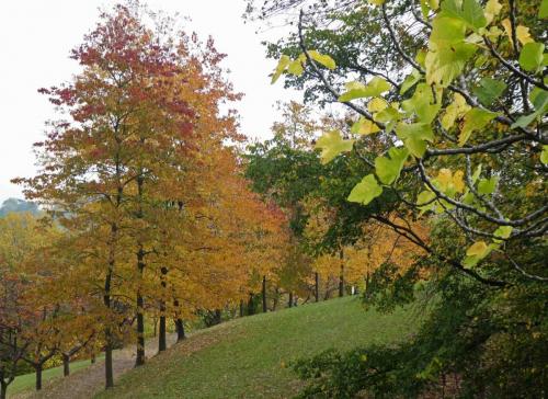 Pretty parks and gardens 