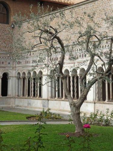 And the Basilica's beautiful 13th century cloister