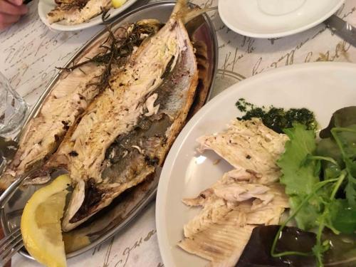 The afternoon's catch