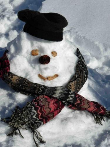 Now why didn't this guy make it into the official Christmas pic?