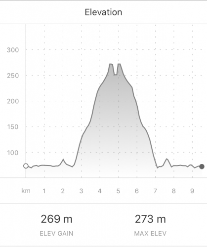 San Luca elevation (Strava)