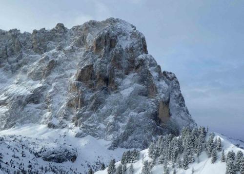 It's easy to understand why