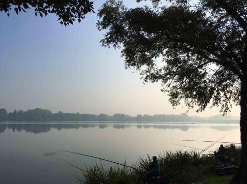 There are plenty of fish in the lake (and on plates in the city's restaurants)