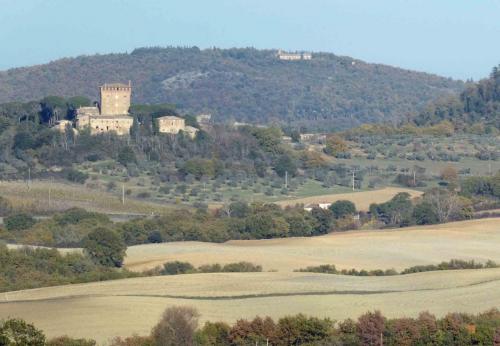 Tower on a hill (one of many)