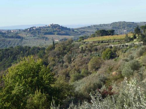 Typical Tuscan landscape