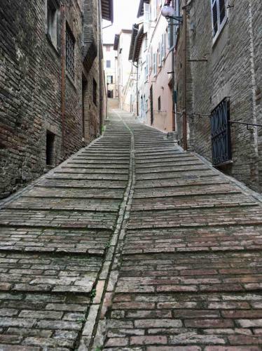 Urbino street