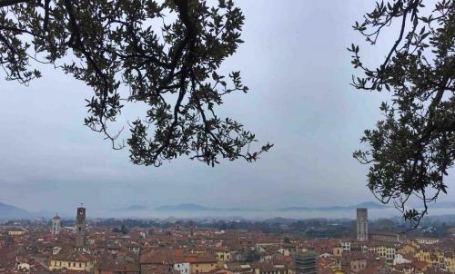 And this is the view from the top (on a wintry, but not snowy, day!)