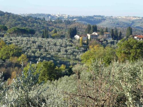 Just south of the town of Greve