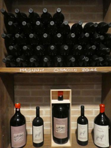 Wine making based on centuries of tradition