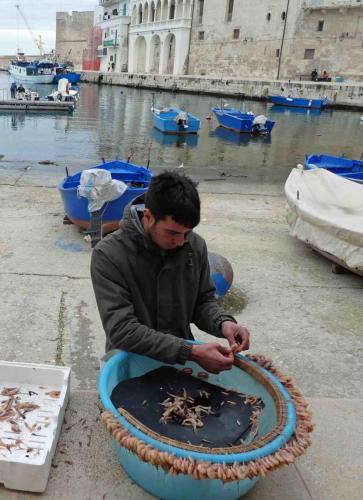 Baiting the nets is a time-consuming job