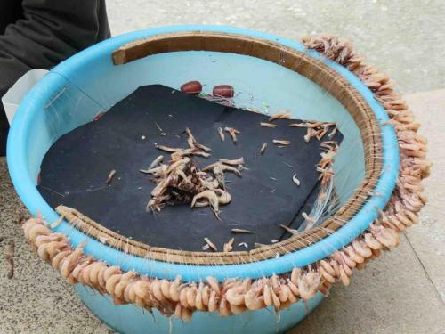 One prawn on each hook