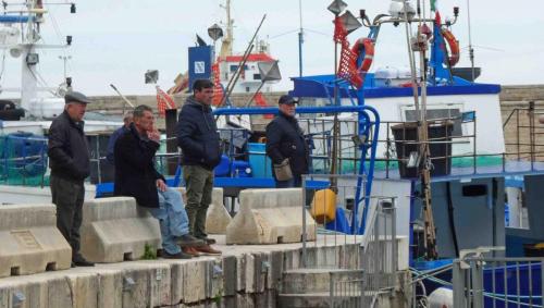 ...there's a crowd to follow the action