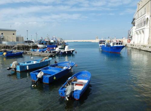 These days most are powered by outboard motors, but some of the old fishermen still use oars