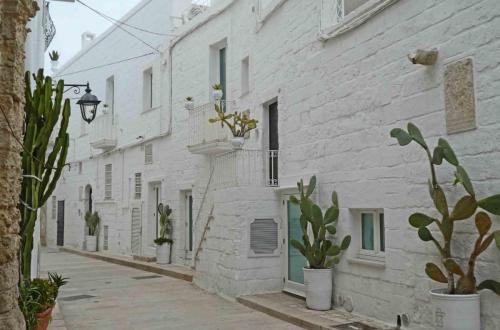 Our house is on this street