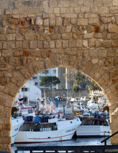 The harbour is in the heart of the old town
