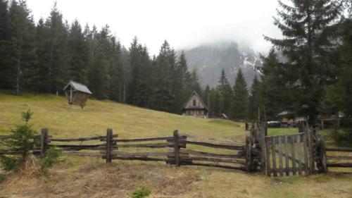 There's history too; during World War I fierce battles were fought in Julian Alps (Ernest Hemingway served here as a volunteer ambulance driver to the Italian Army - the experience inspired his novel 'A Farewell to Arms')