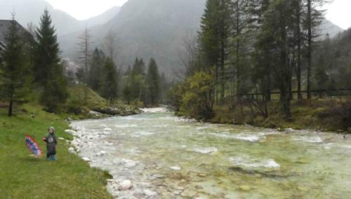 He was very keen to show us around - of all the animals on the property, the pigs were his favourites (his plan is to become a pig farmer and sleep in the sty with them) 