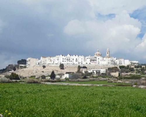 The little town of Locorotondo is just north of the Salento, in the Valle d'Itria 