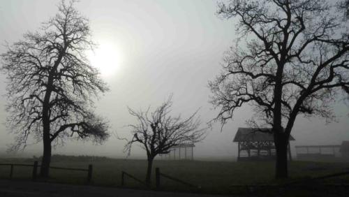 One morning we woke to a find this dramatically foggy landscape (the structures in the field there are used to dry freshly cut hay - there are thousands of them around Slovenia)
