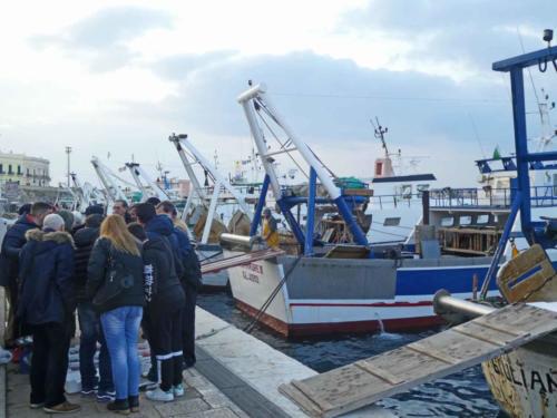 And then the action began; the fishermen sell their catch directly from the back of their boats or from boxes on the wharf