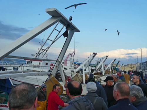 We'd never seen some of the fish on sale, but the fishermen were happy to tell us what was what; and they encouraged us to sample their wares (snap the head off a raw prawn and pop it into your mouth - it doesn't get much fresher than that)