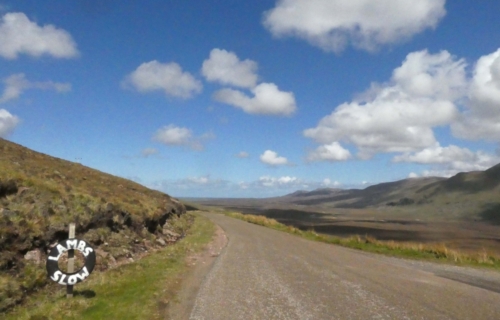 It's lambing season - look out!