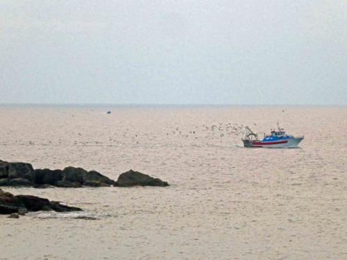 It's a significant fishing port