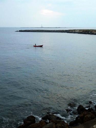We watched as the boats - large and small - headed home in the evening