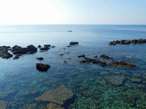 And the next day, it starts all over again