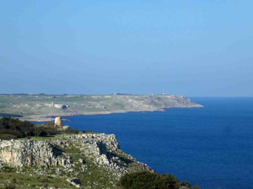 More of those watchtowers