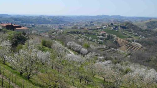 From Ljubljana we headed west towards Goriška Brda, the wine district often referred to as Slovenia's Tuscany - parts of Brda did look familiar