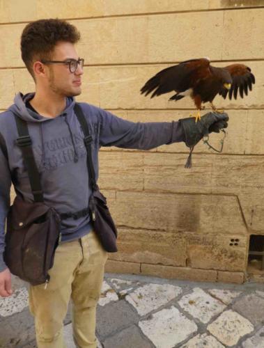 This is Gabriel, the town's very successful pest bird controller (and his handler)